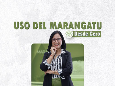 miniatura del curso